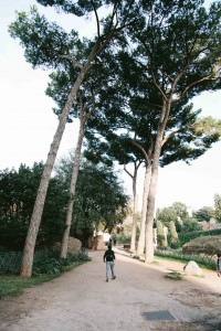 rome italy roman forum garden