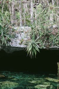 Cenote Nicte-Ha Mexico