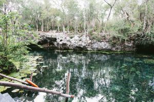 Cenote Nicte-Ha Mexico